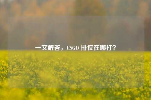 一文解答，CSGO 排位在哪打？