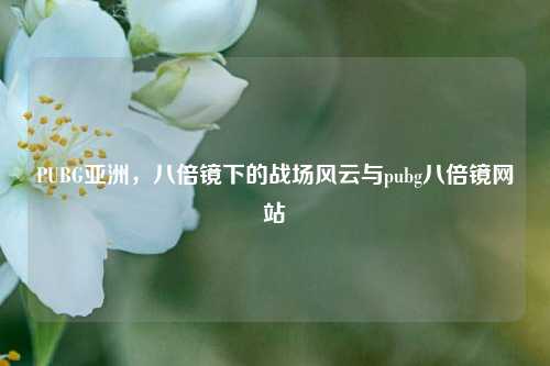 PUBG亚洲，八倍镜下的战场风云与pubg八倍镜网站