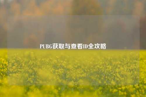 PUBG获取与查看ID全攻略