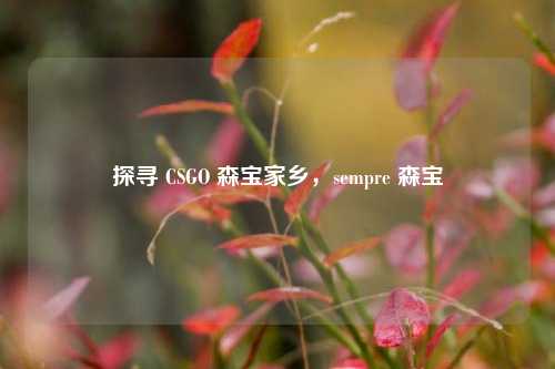 探寻 CSGO 森宝家乡，sempre 森宝