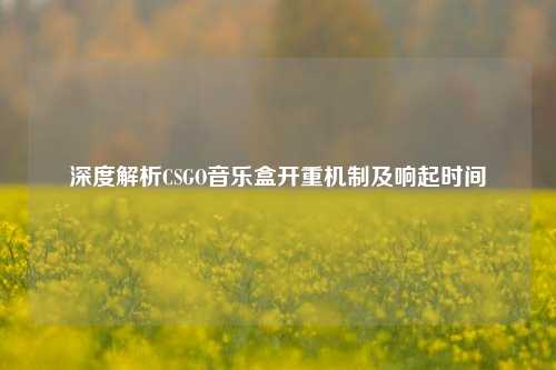 深度解析CSGO音乐盒开重机制及响起时间