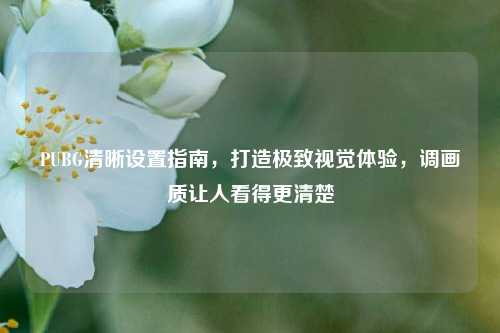 PUBG清晰设置指南，打造极致视觉体验，调画质让人看得更清楚