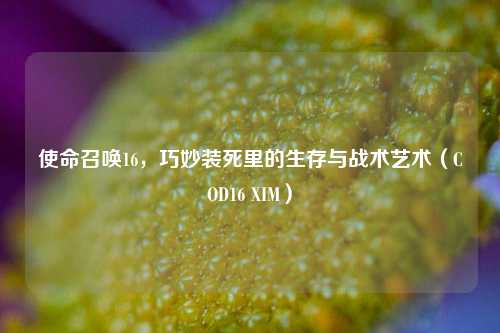 使命召唤16，巧妙装死里的生存与战术艺术（COD16 XIM）