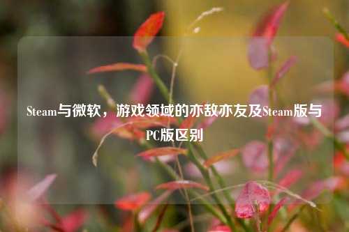 Steam与微软，游戏领域的亦敌亦友及Steam版与PC版区别