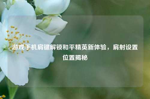 游戏手机肩键解锁和平精英新体验，肩射设置位置揭秘