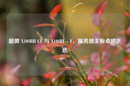 超微 X10SRH CF 与 X10SRL - F，服务器主板卓越之选