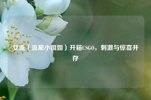 女流（流星小姐姐）开箱CSGO，刺激与惊喜并存