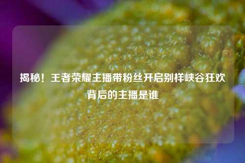 揭秘！王者荣耀主播带粉丝开启别样峡谷狂欢背后的主播是谁