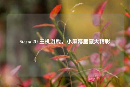 Steam 2D 主机游戏，小屏幕里藏大精彩