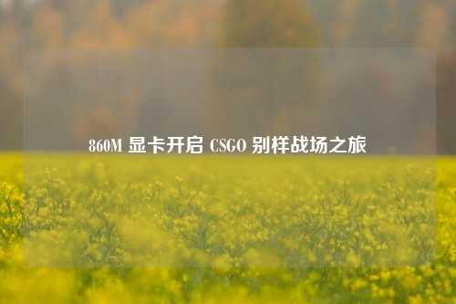 860M 显卡开启 CSGO 别样战场之旅
