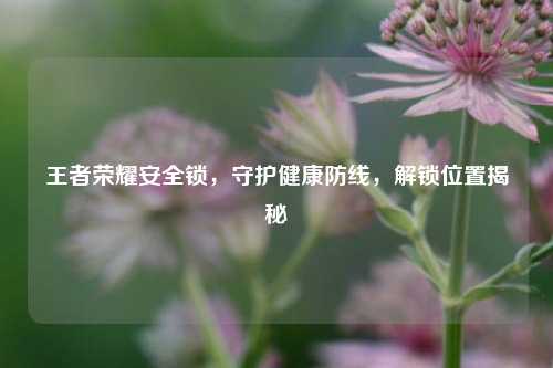 王者荣耀安全锁，守护健康防线，解锁位置揭秘