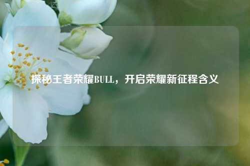 探秘王者荣耀BULL,开启荣耀新征程含义