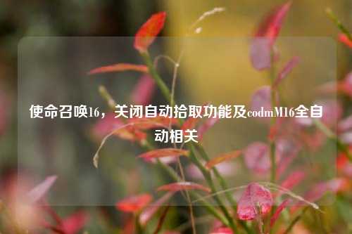 使命召唤16，关闭自动拾取功能及codmM16全自动相关