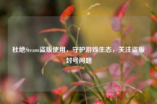 杜绝Steam盗版使用，守护游戏生态，关注盗版封号问题