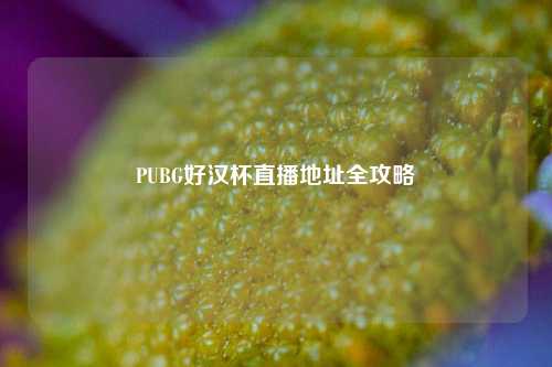 PUBG好汉杯直播地址全攻略