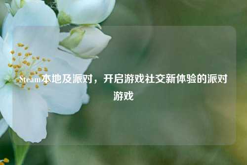 Steam本地及派对，开启游戏社交新体验的派对游戏