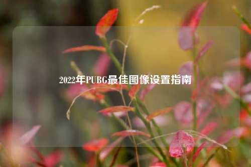 2022年PUBG最佳图像设置指南