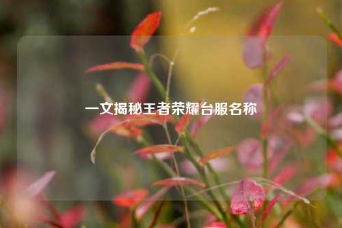 一文揭秘王者荣耀台服名称