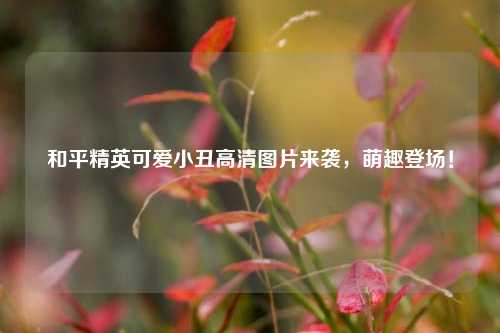 和平精英可爱小丑高清图片来袭，萌趣登场！
