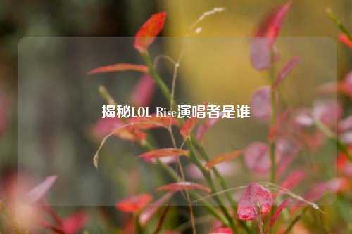 揭秘LOL Rise演唱者是谁