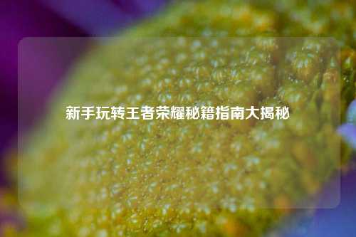 新手玩转王者荣耀秘籍指南大揭秘