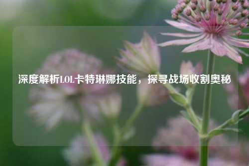深度解析LOL卡特琳娜技能，探寻战场收割奥秘