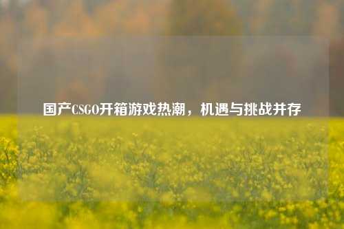 国产CSGO开箱游戏热潮，机遇与挑战并存