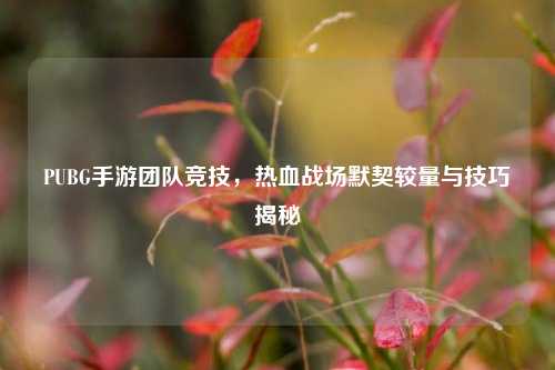 PUBG手游团队竞技，热血战场默契较量与技巧揭秘