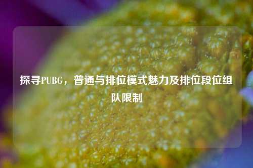 探寻PUBG，普通与排位模式魅力及排位段位组队限制