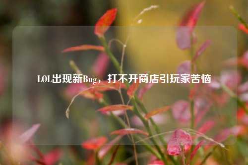 LOL出现新Bug，打不开商店引玩家苦恼