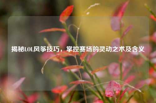揭秘LOL风筝技巧，掌控赛场的灵动之术及含义