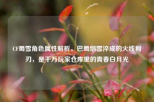 CF蜀雪角色属性解析，巴蜀烟雪淬成的火线利刃，是千万玩家仓库里的青春白月光