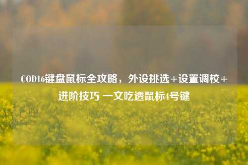 COD16键盘鼠标全攻略，外设挑选+设置调校+进阶技巧 一文吃透鼠标4号键