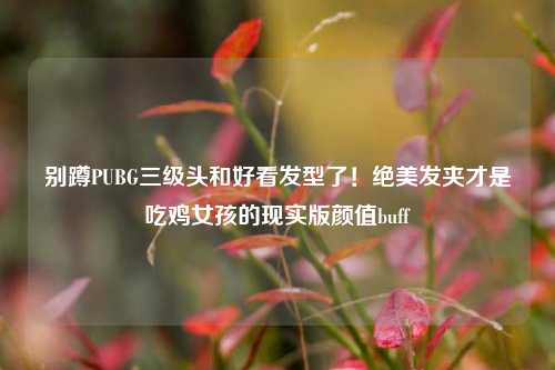 别蹲PUBG三级头和好看发型了!绝美发夹才是吃鸡女孩的现实版颜值buff