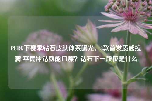 PUBG下赛季钻石皮肤体系曝光，3款首发质感拉满 平民冲钻就能白嫖？钻石下一段位是什么