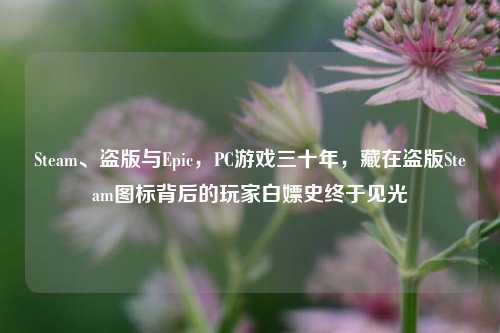 Steam、盗版与Epic,PC游戏三十年,藏在盗版Steam图标背后的玩家白嫖史终于见光