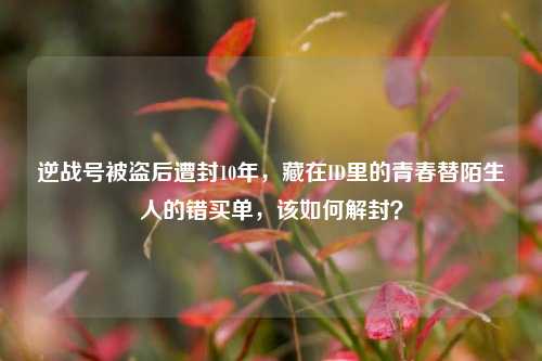 逆战号被盗后遭封10年,藏在ID里的青春替陌生人的错买单,该如何解封?