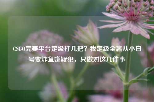 CSGO完美平台定级打几把？我定级全赢从小白号变炸鱼嫌疑犯，只做对这几件事