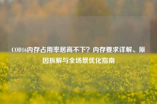 COD16内存占用率居高不下？内存要求详解、原因拆解与全场景优化指南