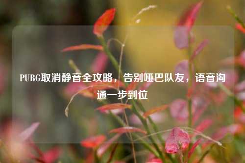 PUBG取消静音全攻略，告别哑巴队友，语音沟通一步到位