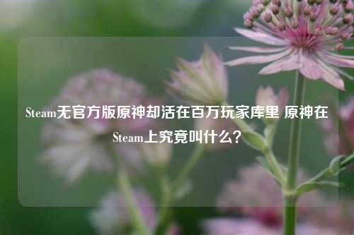 Steam无官方版原神却活在百万玩家库里 原神在Steam上究竟叫什么？