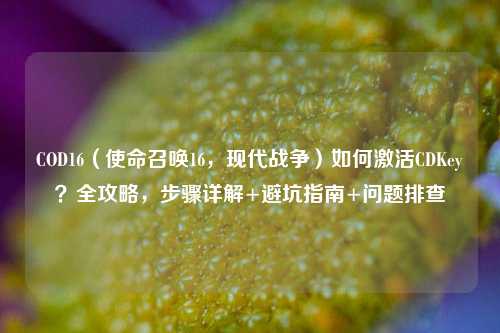COD16（使命召唤16，现代战争）如何激活CDKey？全攻略，步骤详解+避坑指南+问题排查