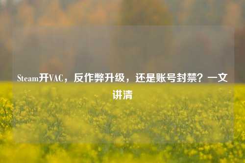 Steam开VAC，反作弊升级，还是账号封禁？一文讲清