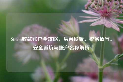 Steam收款账户全攻略，后台设置、税务填写、安全避坑与账户名称解析