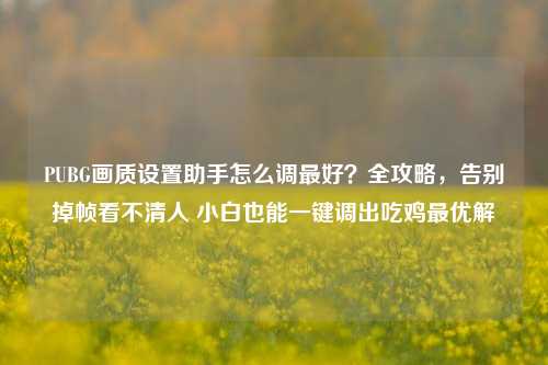 PUBG画质设置助手怎么调最好？全攻略，告别掉帧看不清人 小白也能一键调出吃鸡最优解