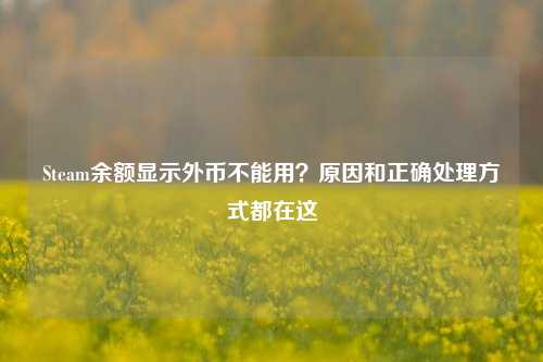 Steam余额显示外币不能用？原因和正确处理方式都在这