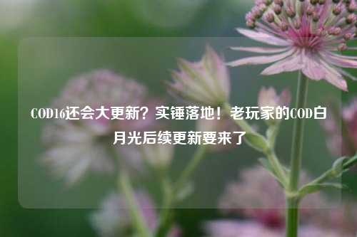 COD16还会大更新？实锤落地！老玩家的COD白月光后续更新要来了