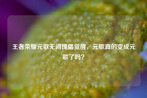 王者荣耀元歌无间傀儡觉醒，元歌真的变成元歌了吗？