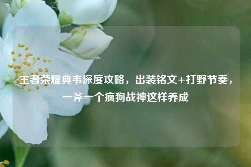 王者荣耀典韦深度攻略，出装铭文+打野节奏，一斧一个疯狗战神这样养成