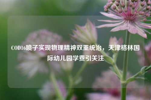 COD16喷子实现物理精神双重统治，天津格林国际幼儿园学费引关注